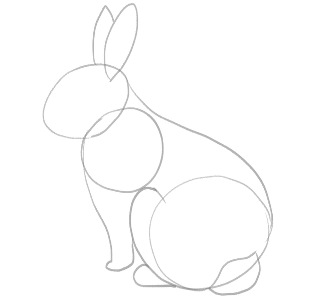 The bunny’s legs are added to the sketch. ​