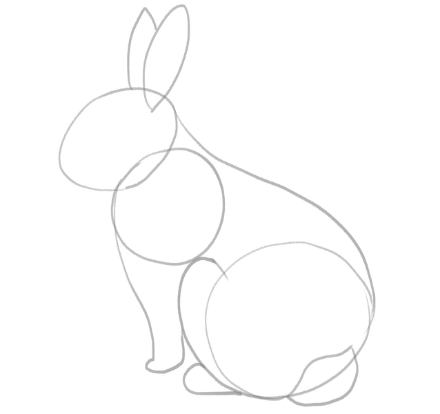 The bunny’s legs are added to the sketch. 