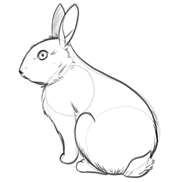 The bunny’s right ear is softly shaded and more fur is added to its body. 