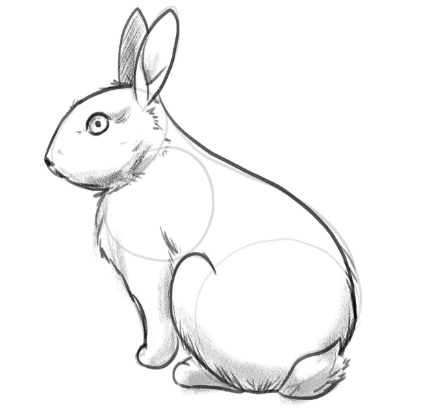 More shade is added to the sketch of the bunny. 