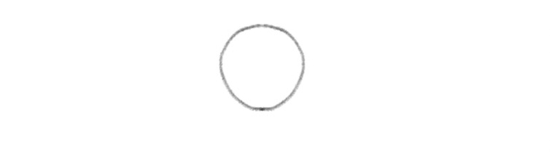 A custom illustrations of a circle that represents the butterfly’s head. 