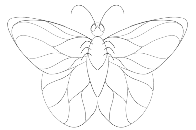 Six thin, curved lines are attached to the thorax, depicting the butterfly’s legs.  