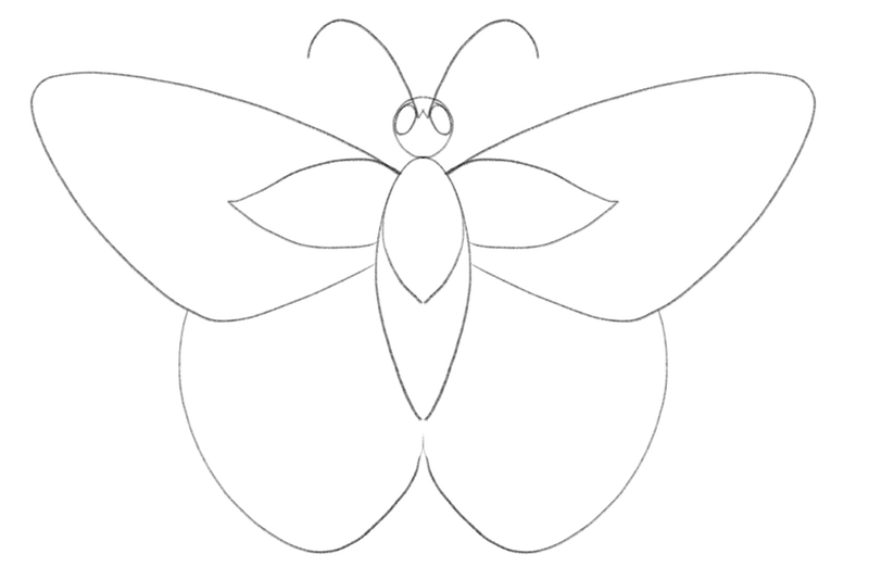 Horizontal wing-like shapes are added to the butterfly’s forewings to decorate them. 