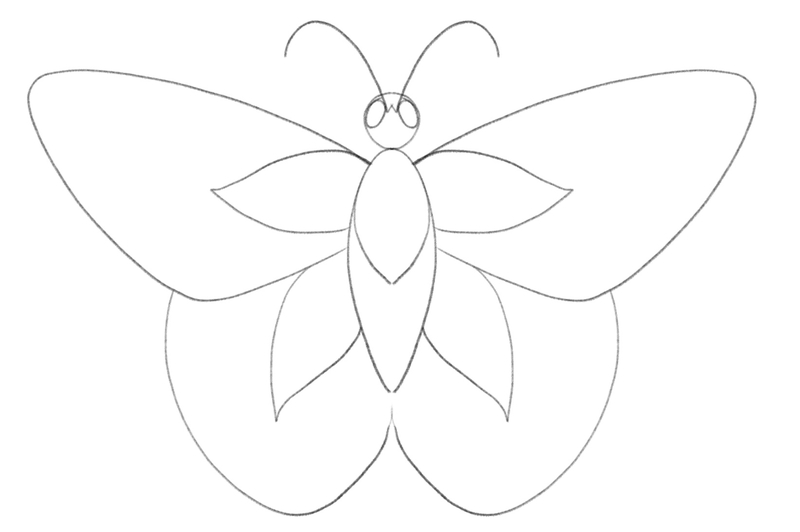 Vertical wing-like shapes are added to the butterfly’s hindwings to decorate them. 