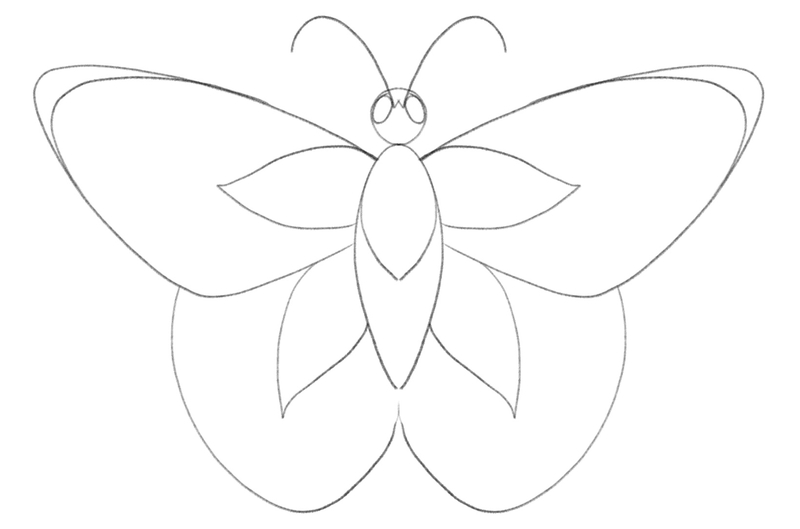 Lines that follow the shape of the upper wing are added to the sketch. 