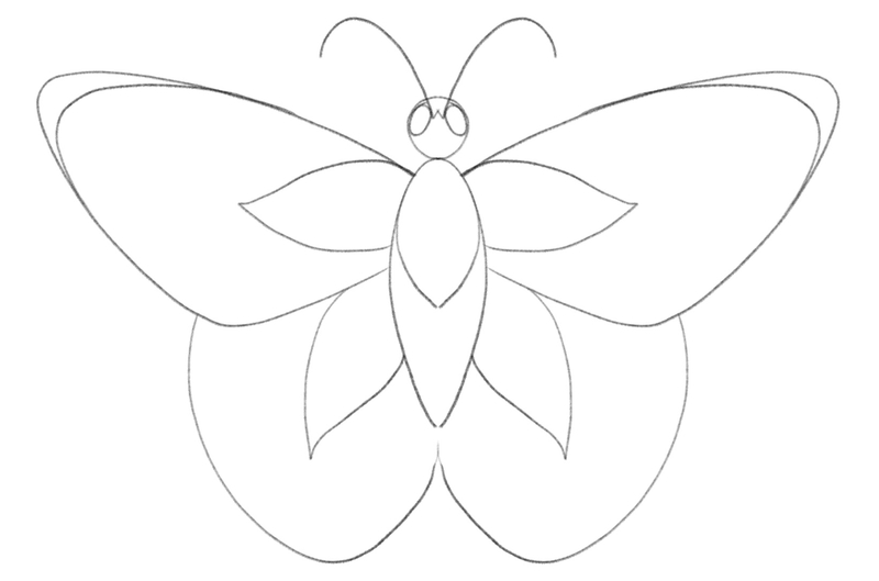 Lines that follow the shape of the upper wing are added to the sketch.