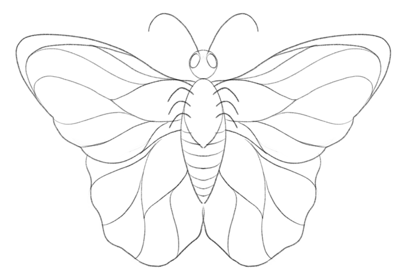 The wing outlines look wavy and less rigid. 