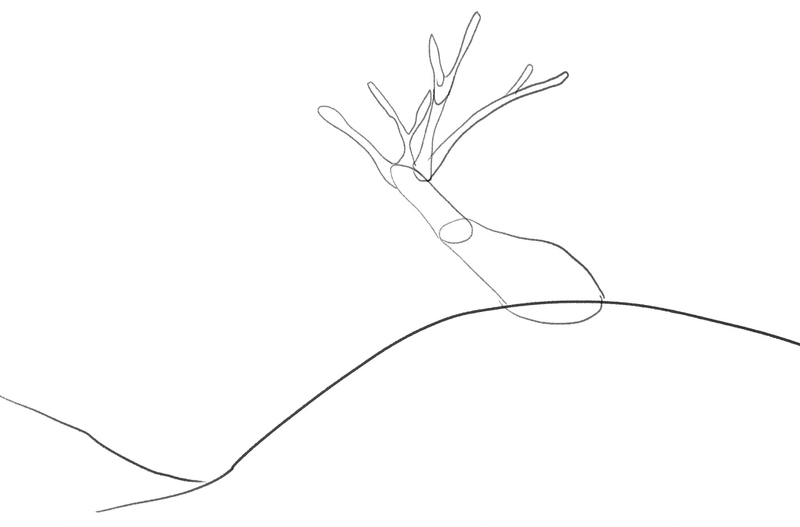 An outline of the branches is drawn at the top of the tree trunk.