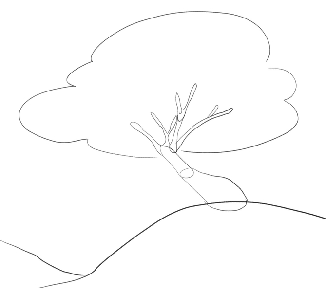 The tree sketch is complete since the crown is added to the sketch. 