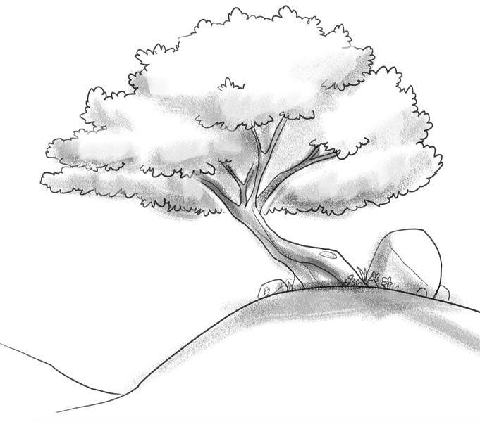 Easy Tree Drawing Tutorial With Video & Images