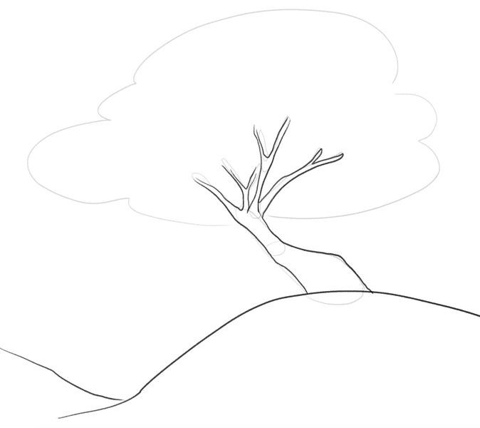 The tree outline is in progress with the trunk and the branches first to be outlined. 