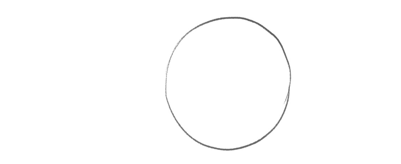 A circle outline that’s going to be used as the basis for the wolf’s chest.