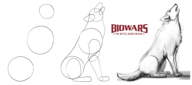 A collage of three illustrations demonstrating the steps to drawing a wolf from scratch. Image used in the “Wolf Drawing In 5 Steps: Beginners’ Guide [Video + Images]” blog post.​