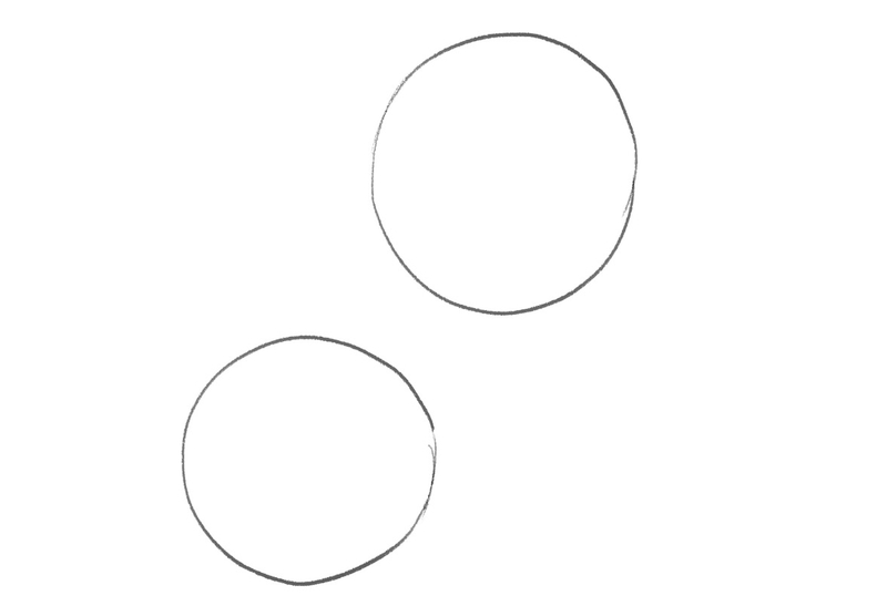 Another circle is added to the sketch below the first one — it’s where the wolf’s lower body will be.