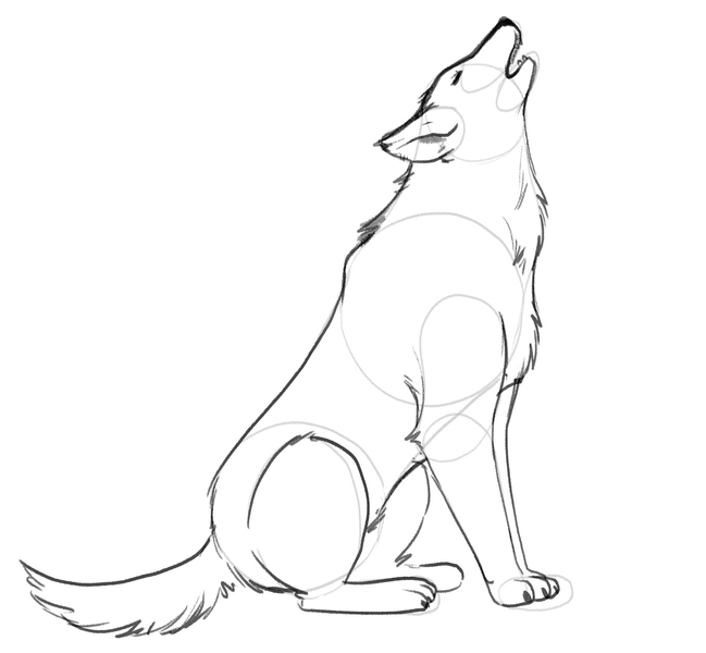 The wolf’s entire body is outlined with a darker pencil. 