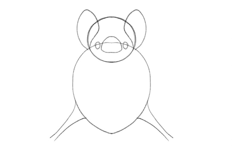 Simple Bat Drawing Guide In 7 Steps [Video + Images]
