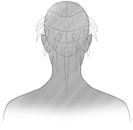 How To Draw Braids For Beginners [Regular, Box, Cornrows]