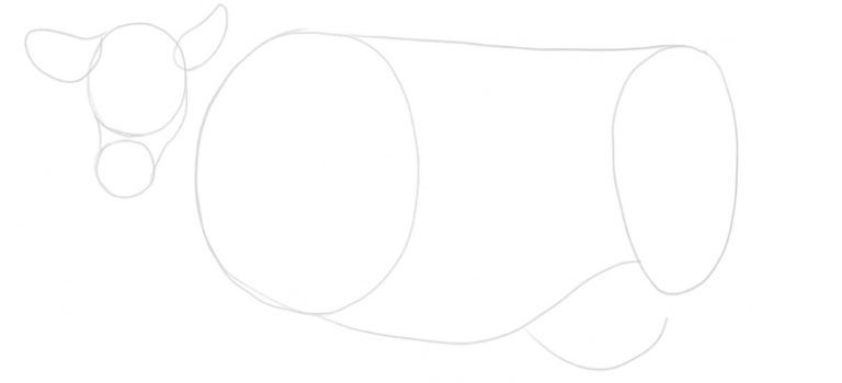 Cow Drawing 101: A Simple 5-Step Guide [Video + Images]