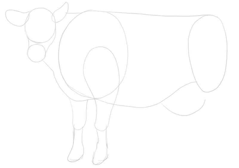 Front thighs are added to the sketch.