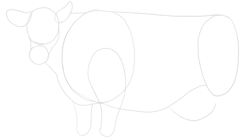 Front thighs are added to the sketch.