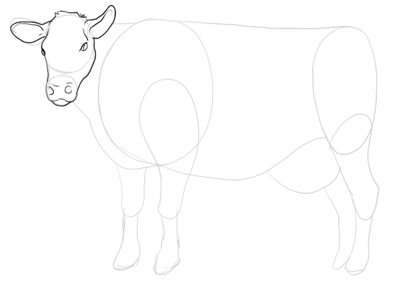 Details added to the cows head.