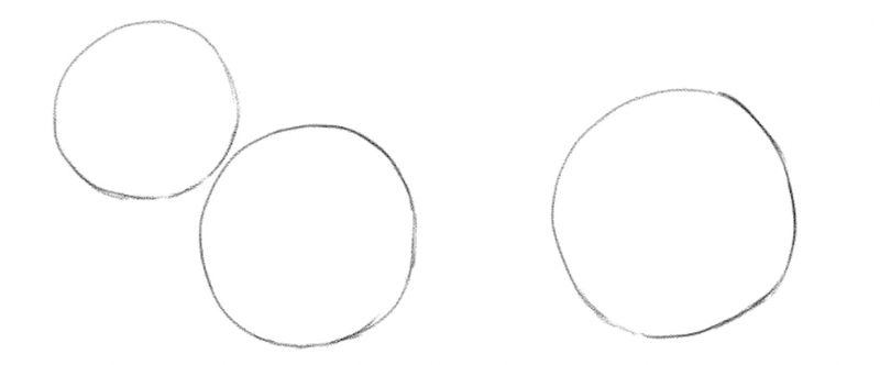 Three circles used to define the size of the fox’s body.​