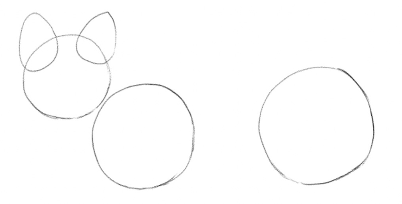 Foxes ears are shapes like triangles.