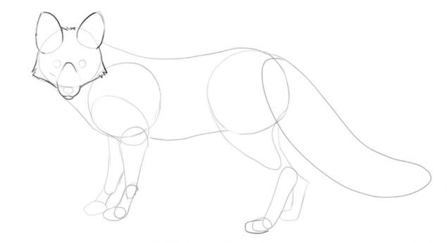 Fox Drawing Guide In 6 Steps For Beginners [Video + Images]