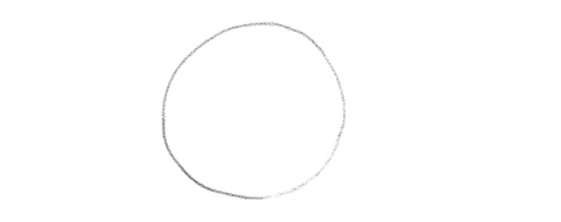 Drawing of a circle.