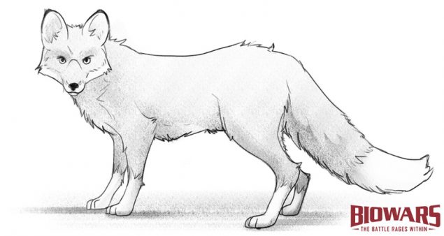 A custom illustration of a fox with a BIOWARS logo next to it. Image used in the “Fox Drawing Guide In 6 Steps For Beginners [Video + Images]” blog post.​