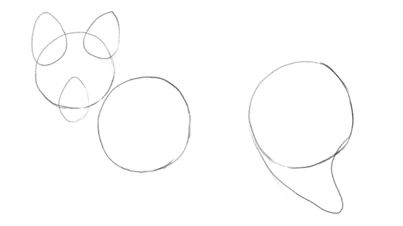 A thigh outline added to the sketch of the fox’s body.