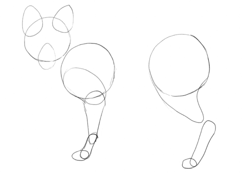 Outline of the fox’s back and front left leg.