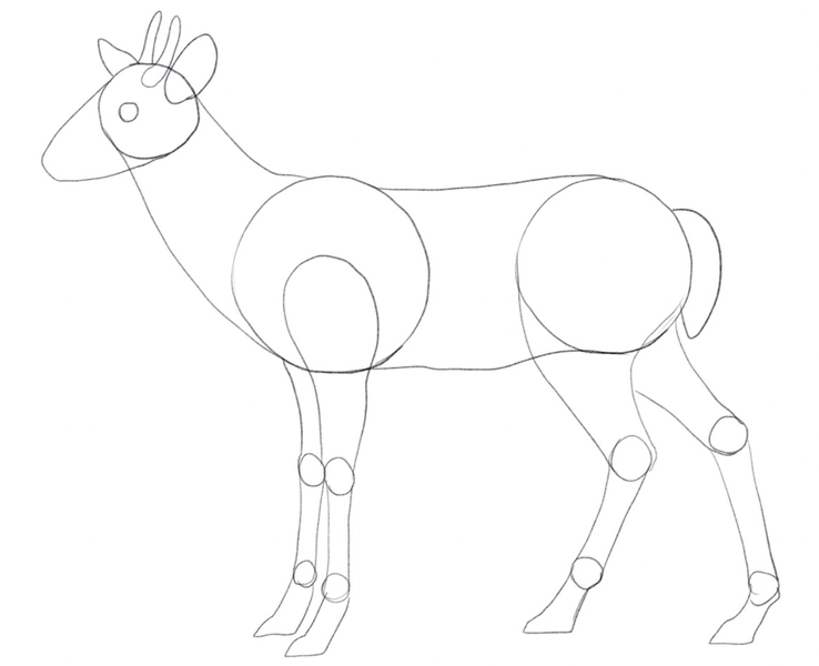 Deer’s horn-like antlers added to the top of its head.