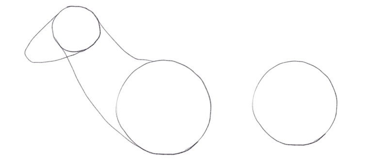 Outline of the deer’s head and neck.