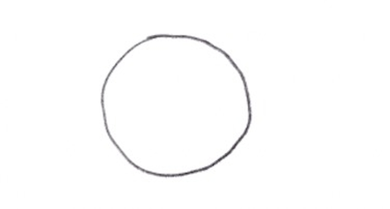 A drawing of a circle.​