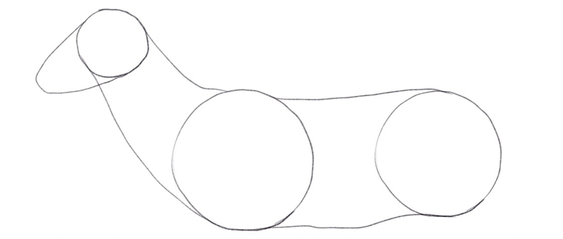 Outline of the deer’s chest and back.
