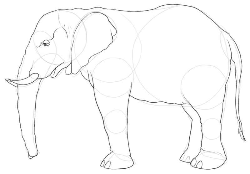 Enhanced elephant outline.