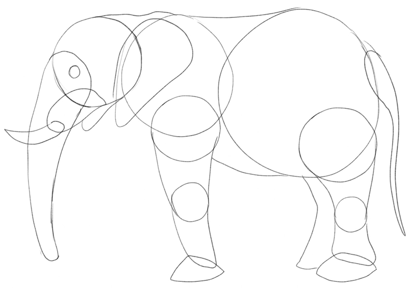 The elephant outline is finished.​
