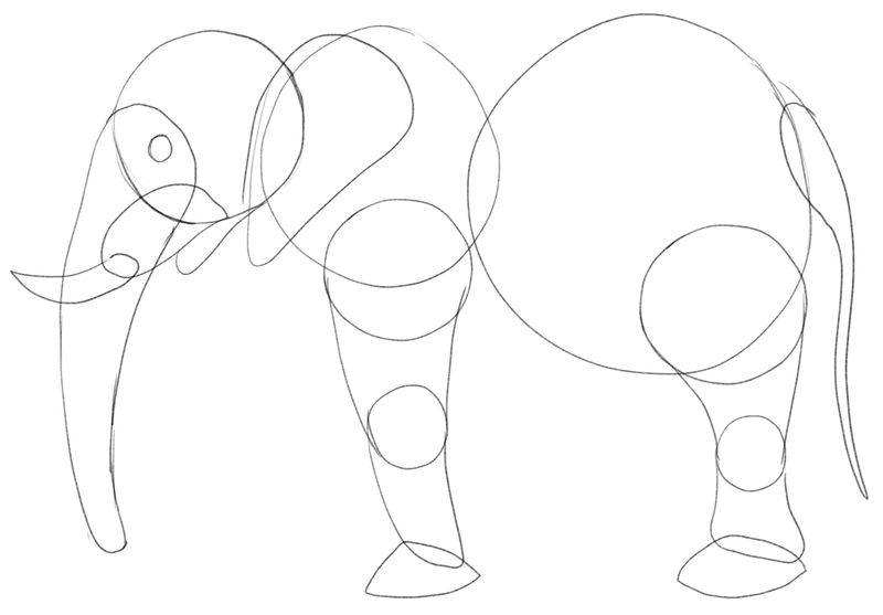The drawing of elephant’s legs on the left side is finished.