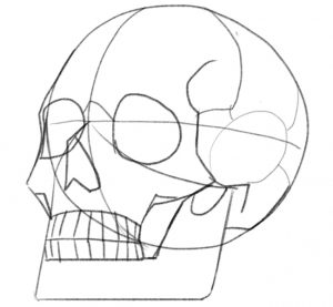 Finished skull outline.