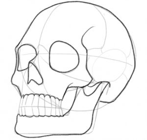 Enhanced lines of the jaw and eye sockets.
