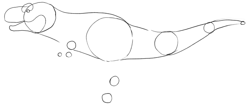 Outlined upper part of the dinosaur’s body.