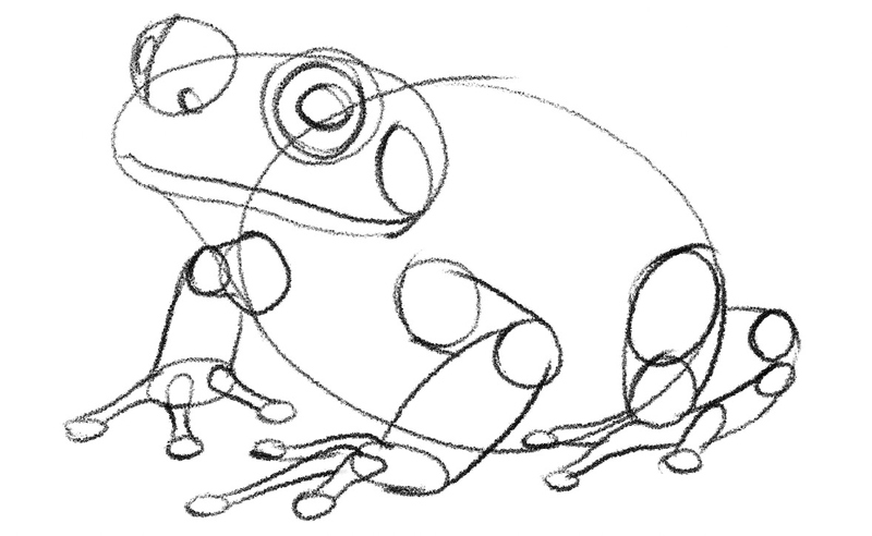 Details added to the frog’s head. 
