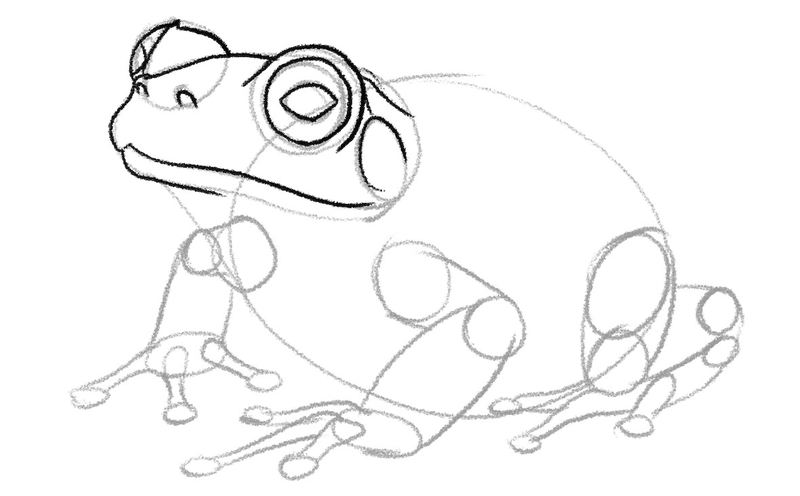 More details added to the frog’s head. 
