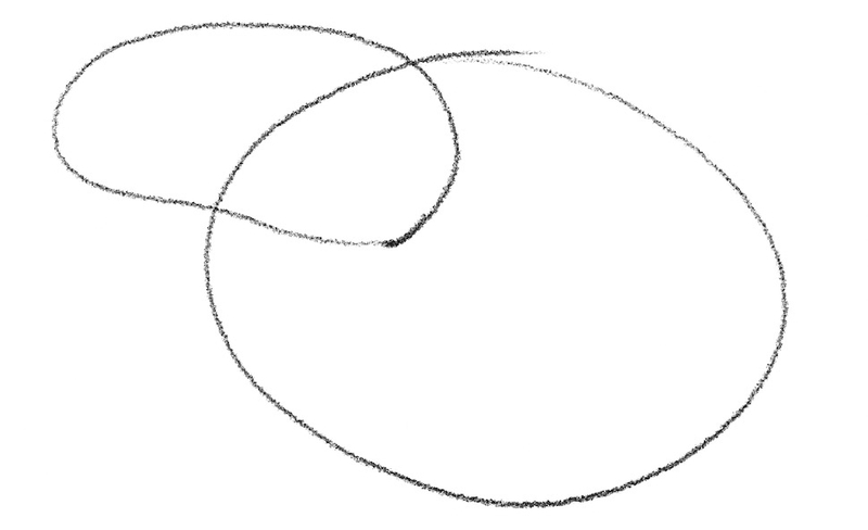Two oval shapes. ​