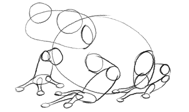 Fully outlined frog legs. 
