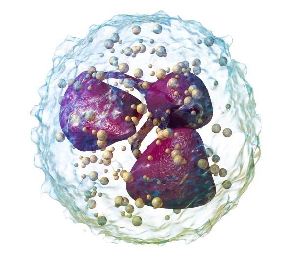 Biowars Neutrophils 2