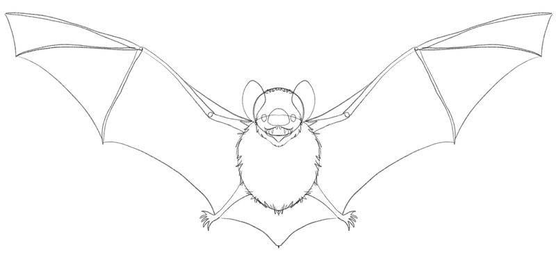 Bats’ fur and teeth are added to the sketch.​
