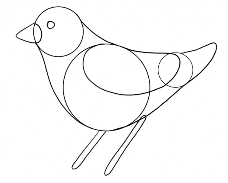 The finished outline of the bird’s upper body.​