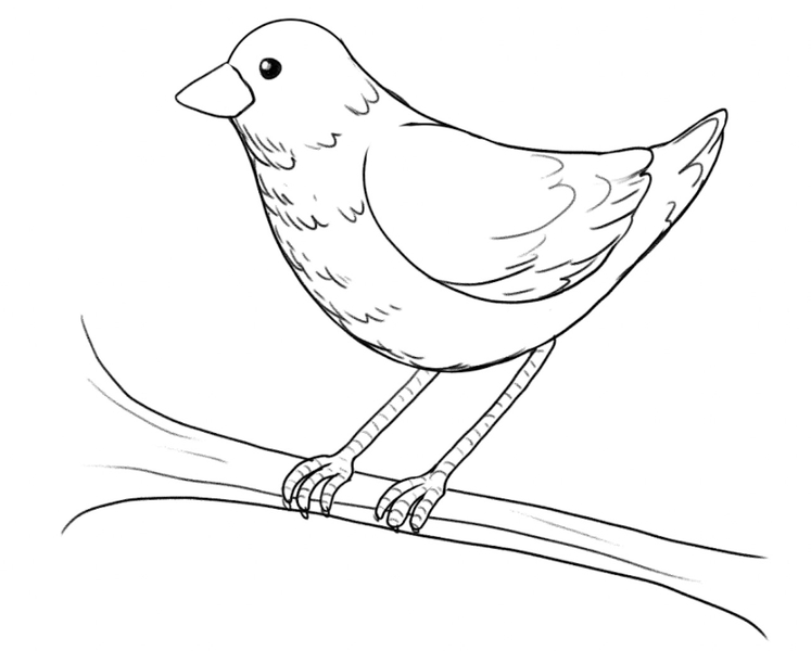 The bird is standing on a branch.​